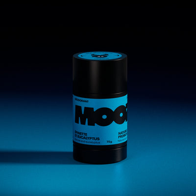 Épinette et eucalyptus