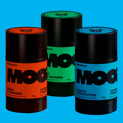 Kit Meilleurs vendeurs