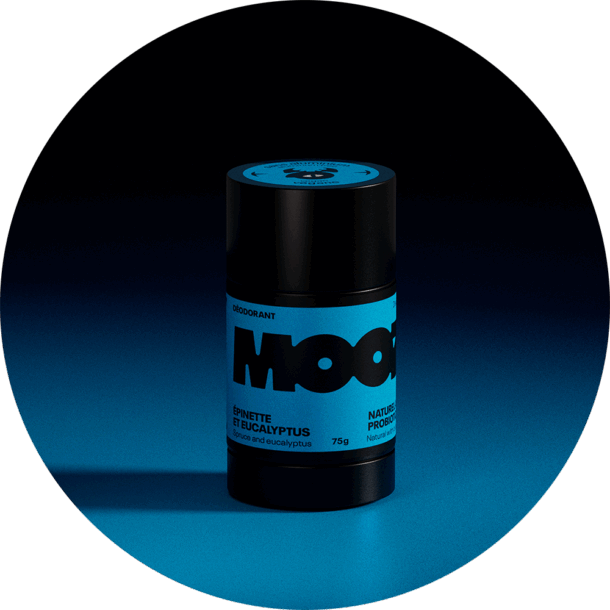 Épinette et eucalyptus