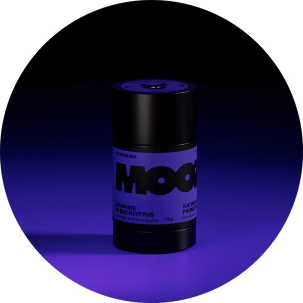 Lavande et eucalyptus